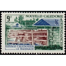 Nouvelle-Caledonie - 0356