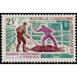 Nouvelle-Caledonie - 0357