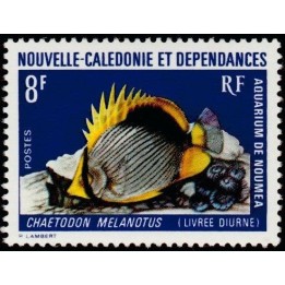 Nouvelle-Caledonie - 0387