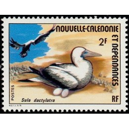 Nouvelle-Caledonie - 0399