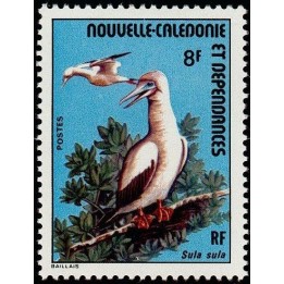Nouvelle-Caledonie - 0400
