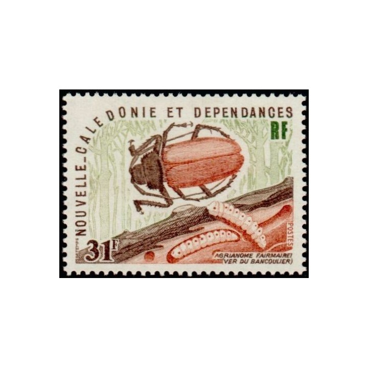 Nouvelle-Caledonie - 0407
