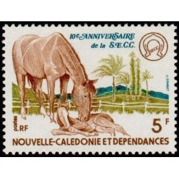 Nouvelle-Caledonie - 0415