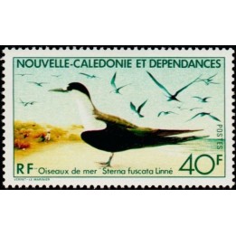 Nouvelle-Caledonie - 0417