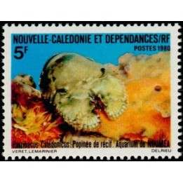 Nouvelle-Caledonie - 0440