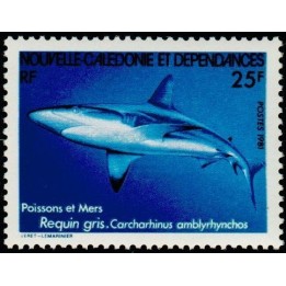 Nouvelle-Caledonie - 0444