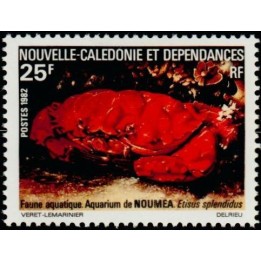 Nouvelle-Caledonie - 0454