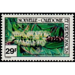 Nouvelle-Caledonie - 0458
