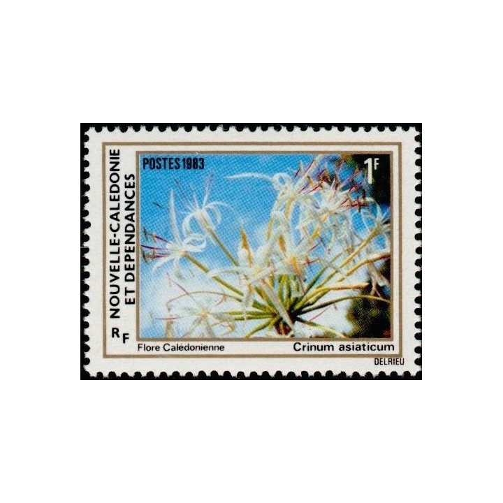 Nouvelle-Caledonie - 0469