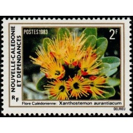 Nouvelle-Caledonie - 0470