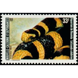 Nouvelle-Caledonie - 0476