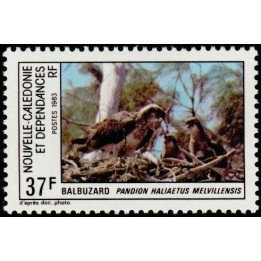 Nouvelle-Caledonie - 0480