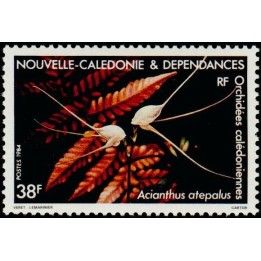 Nouvelle-Caledonie - 0489