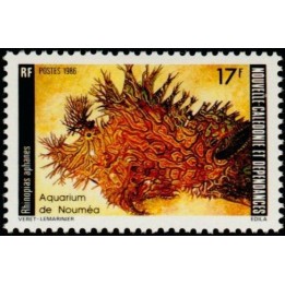 Nouvelle-Caledonie - 0513
