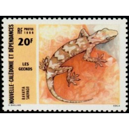 Nouvelle-Caledonie - 0516
