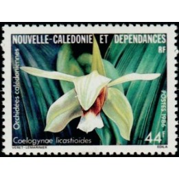 Nouvelle-Caledonie - 0520