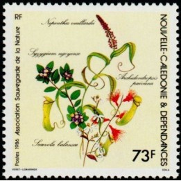Nouvelle-Caledonie - 0527