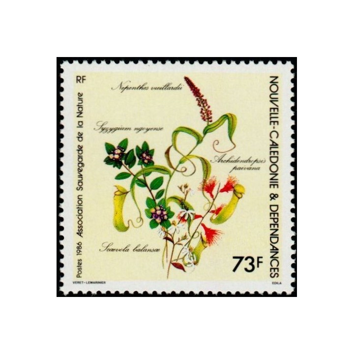 Nouvelle-Caledonie - 0527