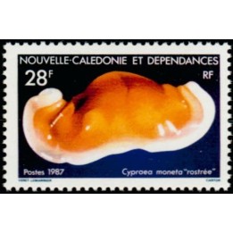 Nouvelle-Caledonie - 0538