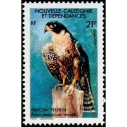 Nouvelle-Caledonie - 0543