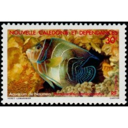 Nouvelle-Caledonie - 0551