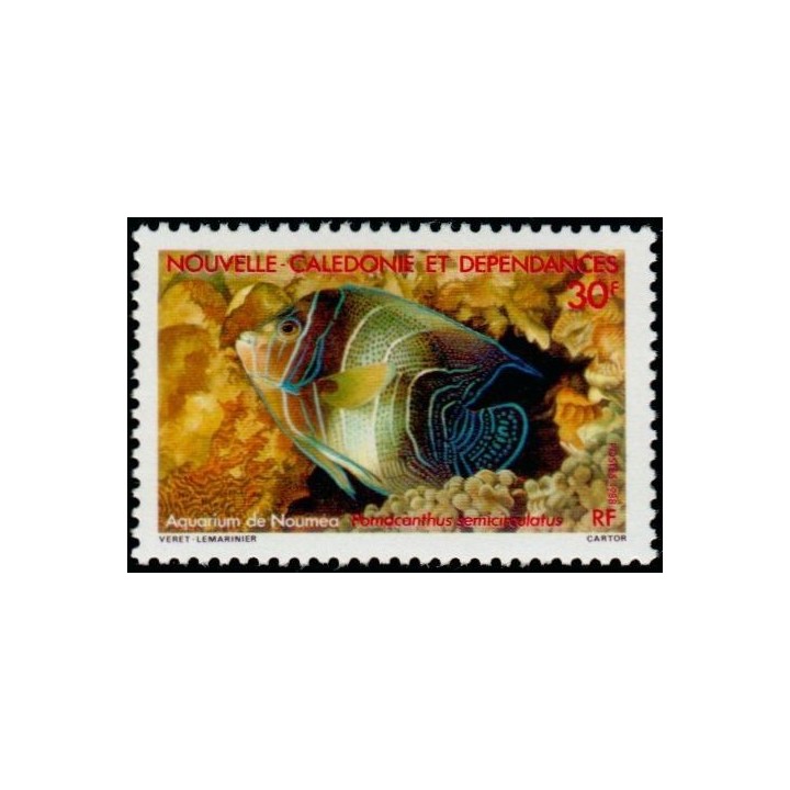 Nouvelle-Caledonie - 0551