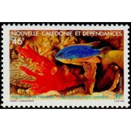Nouvelle-Caledonie - 0552