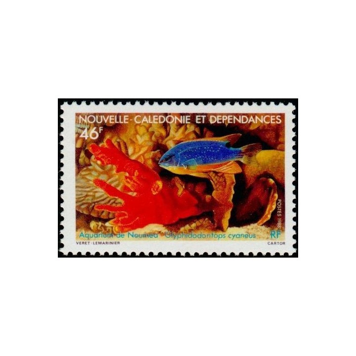 Nouvelle-Caledonie - 0552
