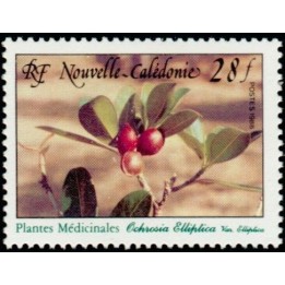 Nouvelle-Caledonie - 0556
