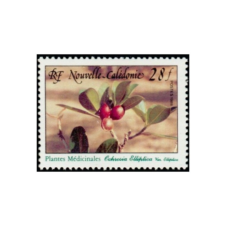 Nouvelle-Caledonie - 0556