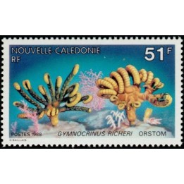 Nouvelle-Caledonie - 0557