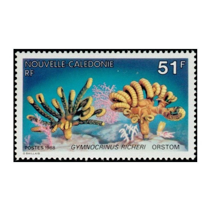 Nouvelle-Caledonie - 0557