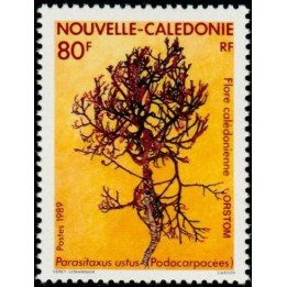 Nouvelle-Caledonie - 0574