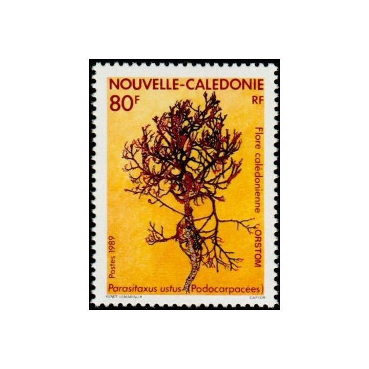 Nouvelle-Caledonie - 0574