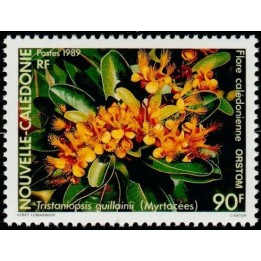 Nouvelle-Caledonie - 0575