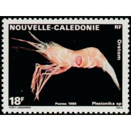 Nouvelle-Caledonie - 0576