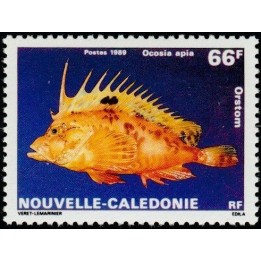 Nouvelle-Caledonie - 0577