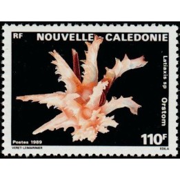 Nouvelle-Caledonie - 0578