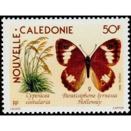 Nouvelle-Caledonie - 0590
