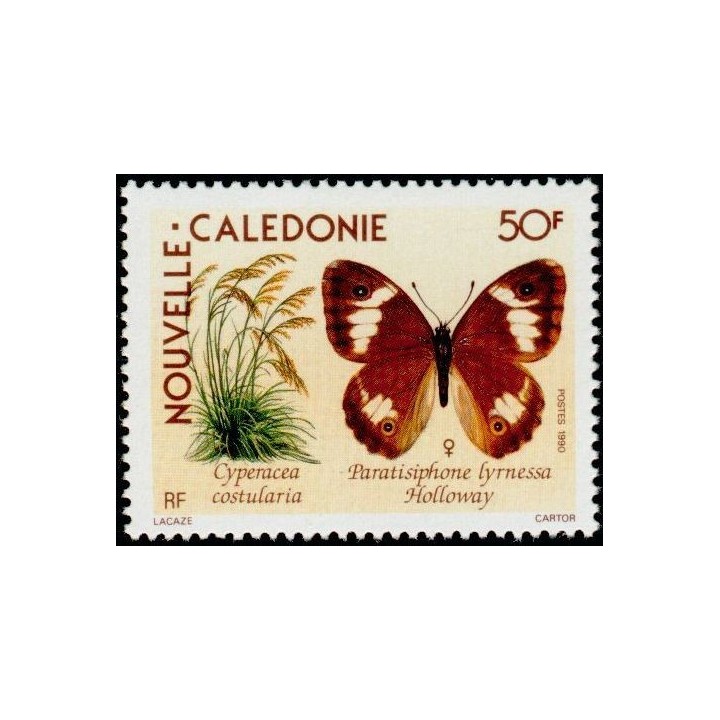 Nouvelle-Caledonie - 0590