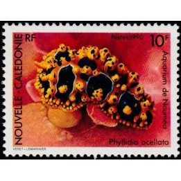Nouvelle-Caledonie - 0594