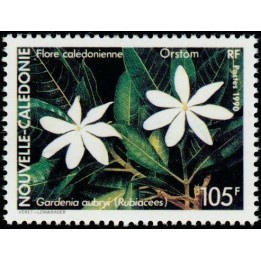 Nouvelle-Caledonie - 0599