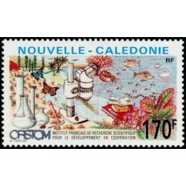 Nouvelle-Caledonie - 0616