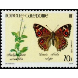Nouvelle-Caledonie - 0625