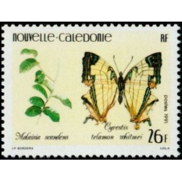 Nouvelle-Caledonie - 0626