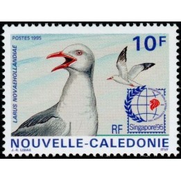 Nouvelle-Caledonie - 0694