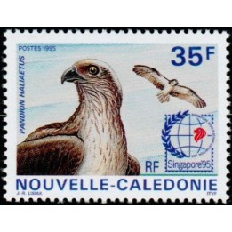 Nouvelle-Caledonie - 0696