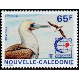 Nouvelle-Caledonie - 0697