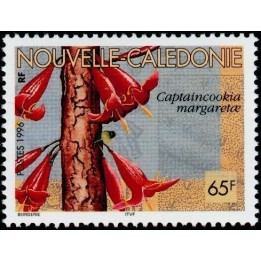 Nouvelle-Caledonie - 0704