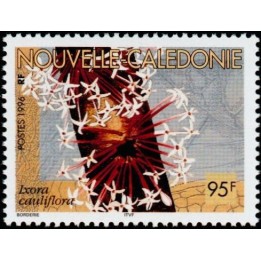 Nouvelle-Caledonie - 0705